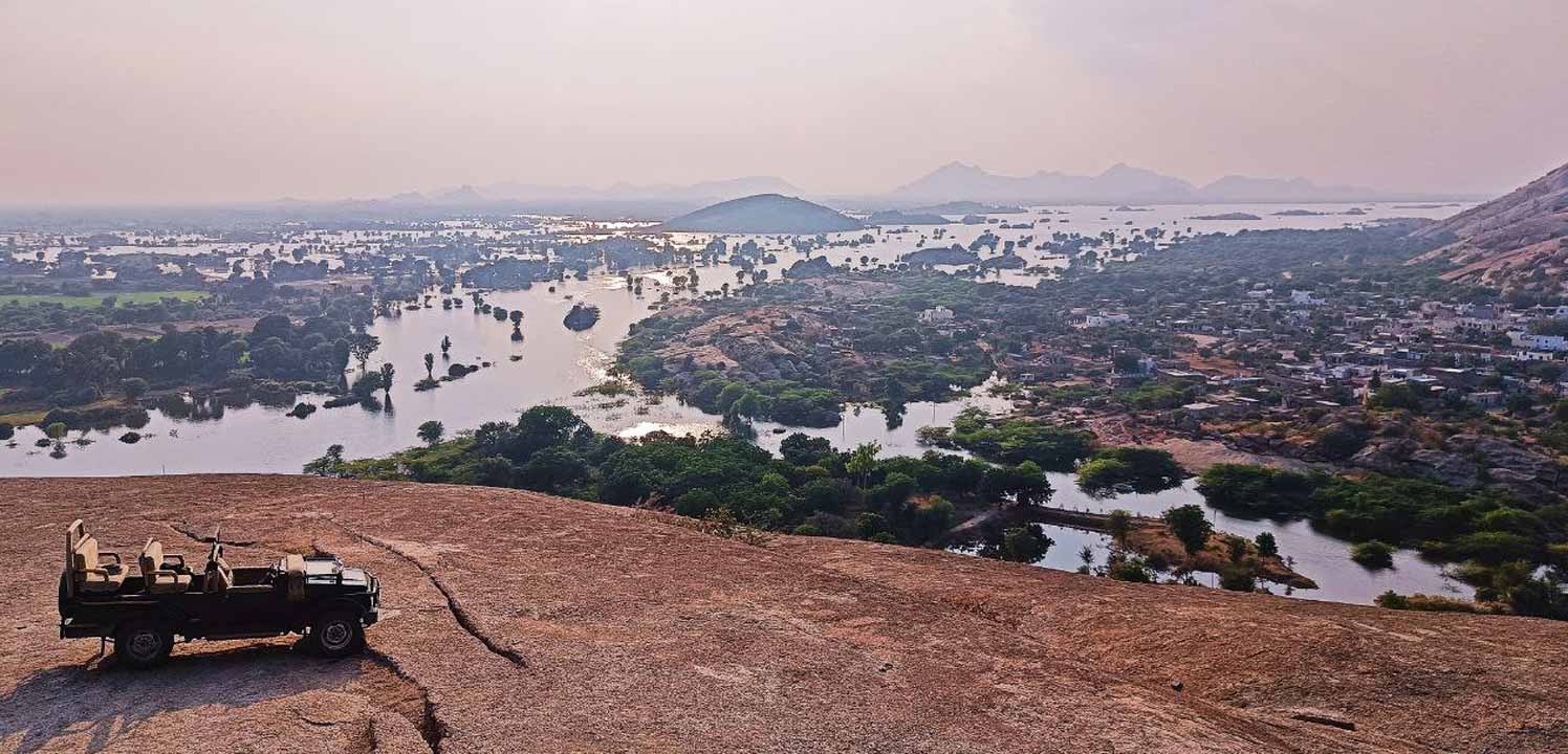 Jawai Safari