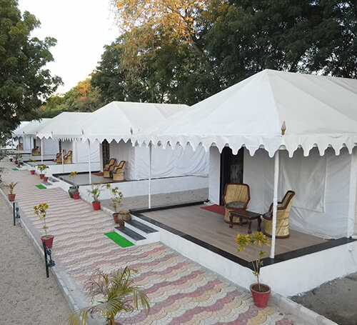 Jawai Tent - Jawai Resort - Book Jawai Camp from Jawai Nature Stay