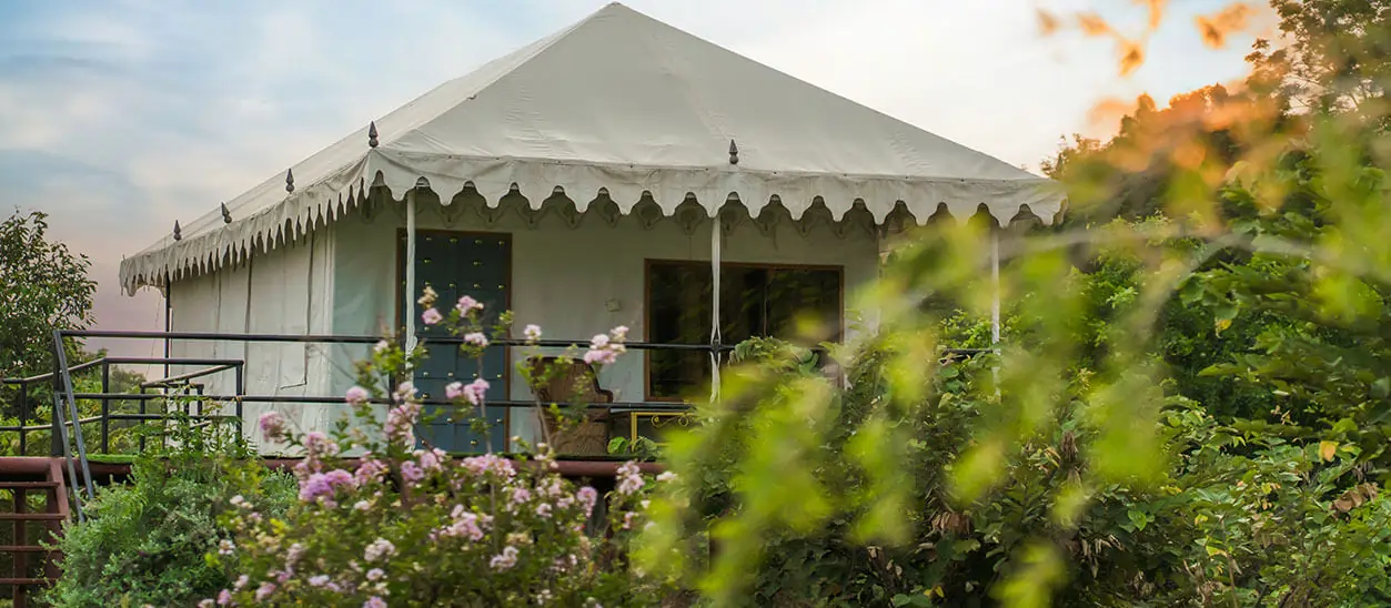 Machaan Tents in Jawai | Unique Stay with Wildlife & Safari Views