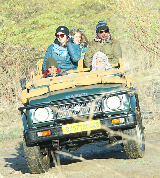 leopard safari in