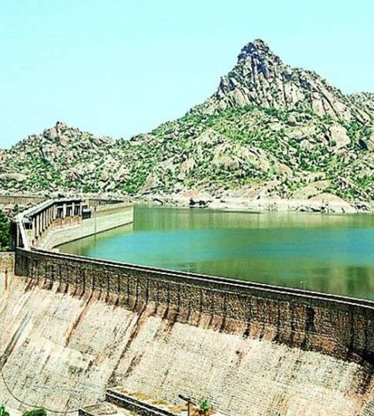 Birding at Jawai Dam