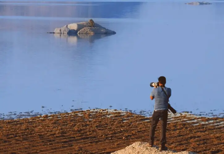 Family Room in Jawai | Spacious Stay for Comfort & Wildlife Holidays