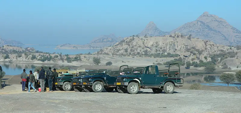 Activities in Jawai