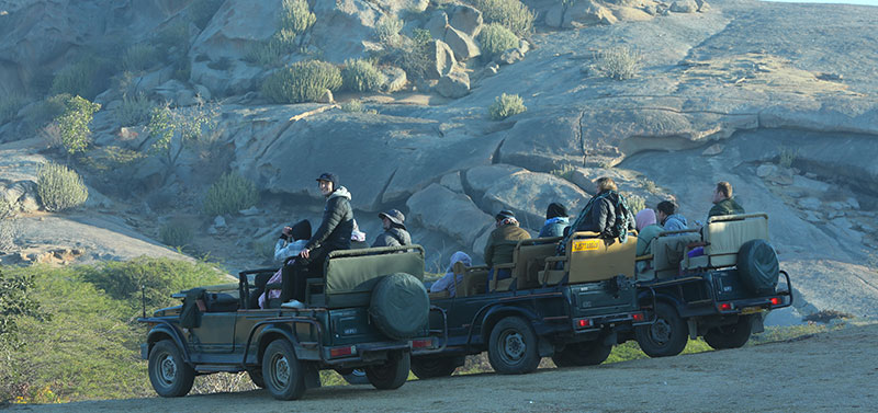 Winter Adventure in Jawai Leopard Hills – Wildlife, Culture & Travel Guide