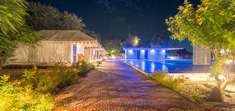 Top Resorts, Camps & Lodges in Jawai Rajasthan for a Perfect Safari Stay