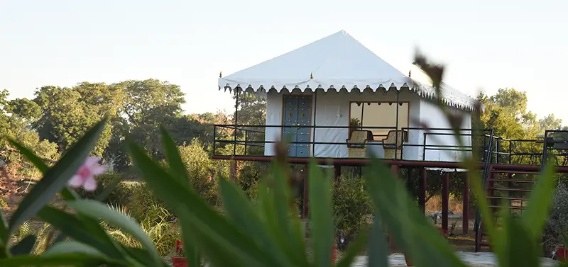 Best Resort in Jawai: A Refined Nature Stay Amid Granite Hills, Leopards, and Silence