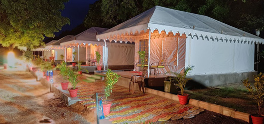 Best Time To Visit Jawai