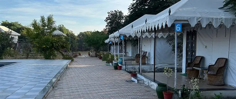 Best Weekend Getaways from Ahmedabad for Nature and Wildlife Lovers