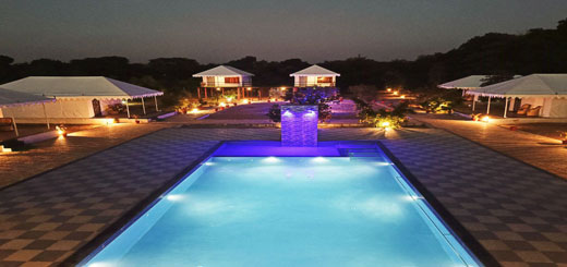 Best Wildlife Jungle Resort in Jawai | Jawai Nature Stay Guide