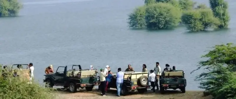 Corporate and Group Jawai Safari Booking with Private Luxury Options
