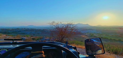 Full day Jawai Safari Packages with Timing