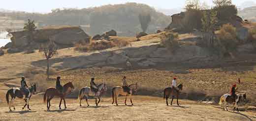 Horse Safari in Jawai