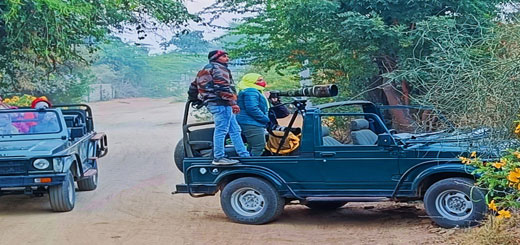 How Many Types of Safaris Can You Do in Jawai Bandh Rajasthan