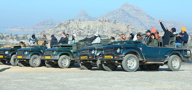 Indian Leopard – Facts, Habitat & Sightings in Jawai