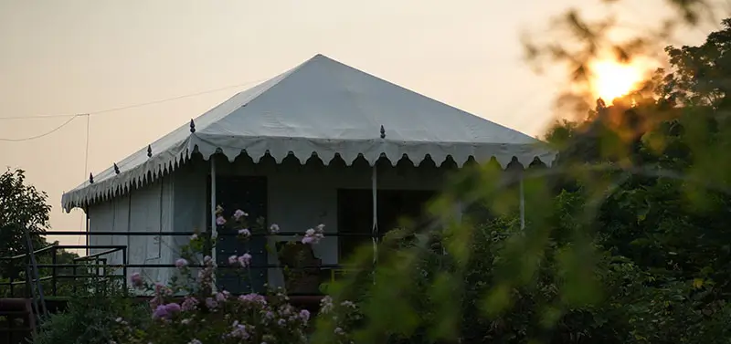 Golden Hours at Jawai Dam: Capturing Sunrise and Sunset Moments in Rajasthan’s Leopard Land
