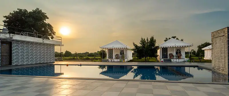 Jawai’s Shepherd Economy