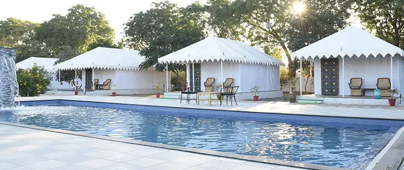 Best Jawai Resorts With Pool for Families & Wildlife Trips