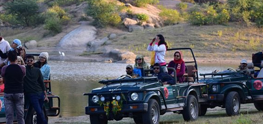 Jawai Jungle Safari
