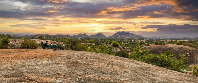 jawai-or-ranthambore-which-safari-destination-is-right-for-you