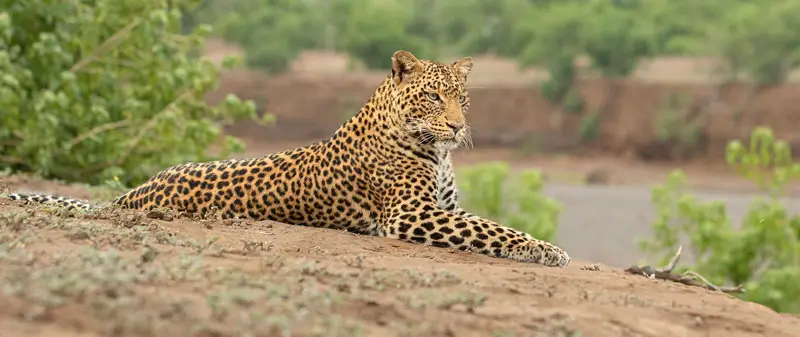 Best India Tour Packages for First-Time International Visitors