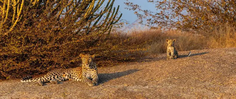 Luxury Golden Triangle Tour with Rajasthan's Hidden Gems