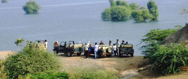 Jaipur to Jawai Tour Package: 2 Night 3 Days Leopard Safari Trip Plan