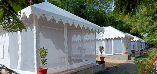 Why Jawai Nature Stay Is The Best Leopard Lodge In Jawai For You?