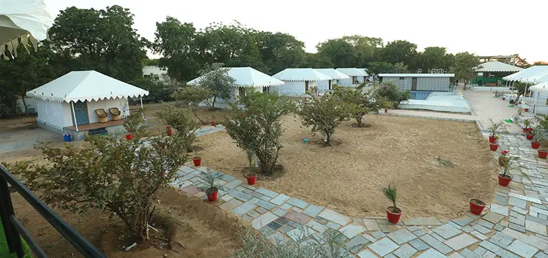 Top Hotels & Resorts for Leopard Safari in Jawai Rajasthan