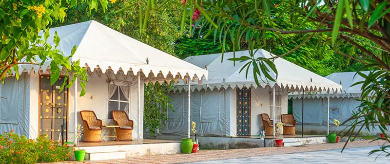 India Luxury Tour Itinerary with Wildlife Experiences
