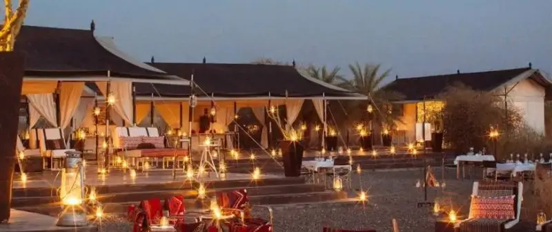 Luxury vs Budget Jawai Safari – What You Really Get for Your Money