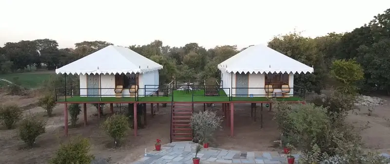 Luxury Weekend Trip from Gujarat to Jawai: Exclusive Leopard Safari Retreat