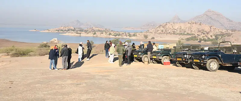 Reasons That Make Jawai Bandh Popular for Jungle Safari in Rajasthan