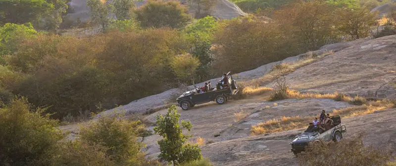 Mumbai to Jawai Tour Package: 2 Night 3 Days Luxury Safari Holiday