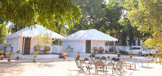 Nature is the Luxury: Why Wilderness Retreats Need a Digital Voice