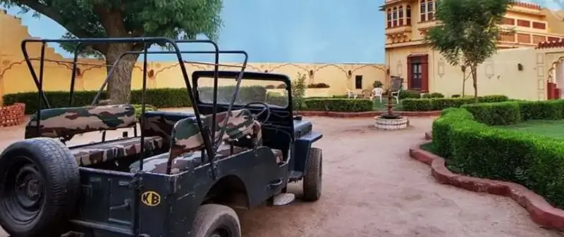 Private vs Shared Jawai Safari – Which One Should You Book