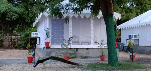Resort Near Bhilwara