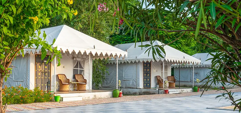 Top Hotels and Resorts in Jawai Rajasthan for Leopard Safari Stays