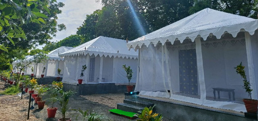 Resorts Near Udaipur