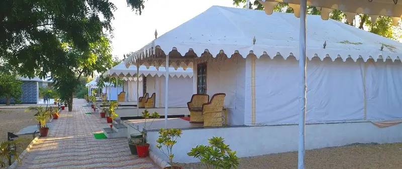 why-luxury-resorts-jawai-expensive