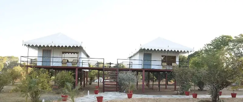 Tented Accommodation in Jawai