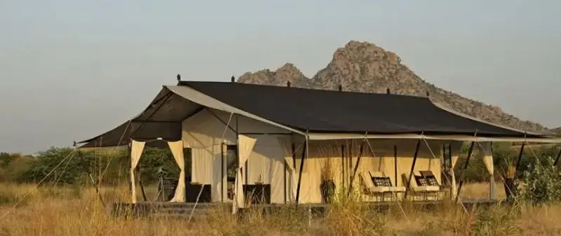 Why Jawai Leopard Safari Prices Vary and What You Actually Pay For