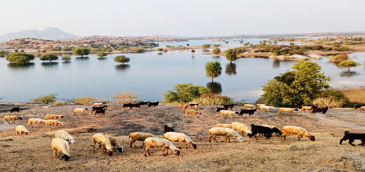 jawai rajasthan tourist places