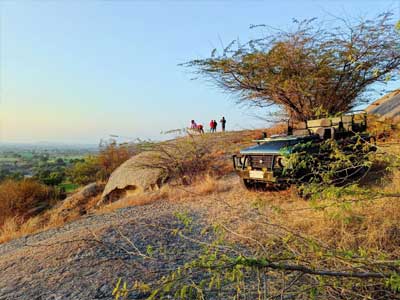 Jawai Safari 