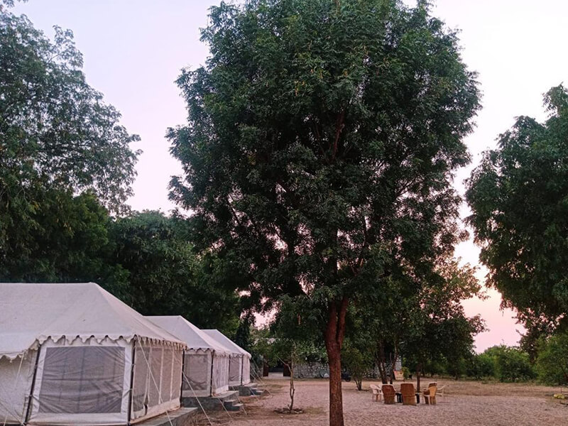 Jawai Nature Stay