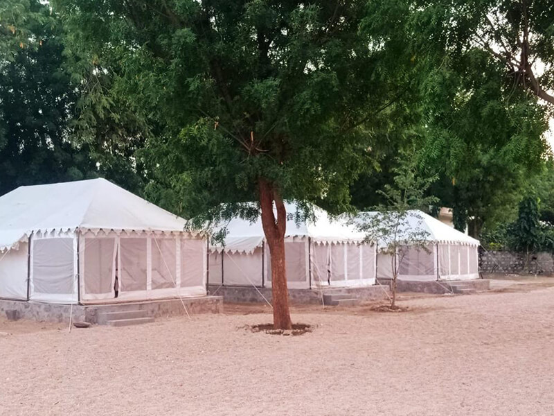 Jawai Nature Stay