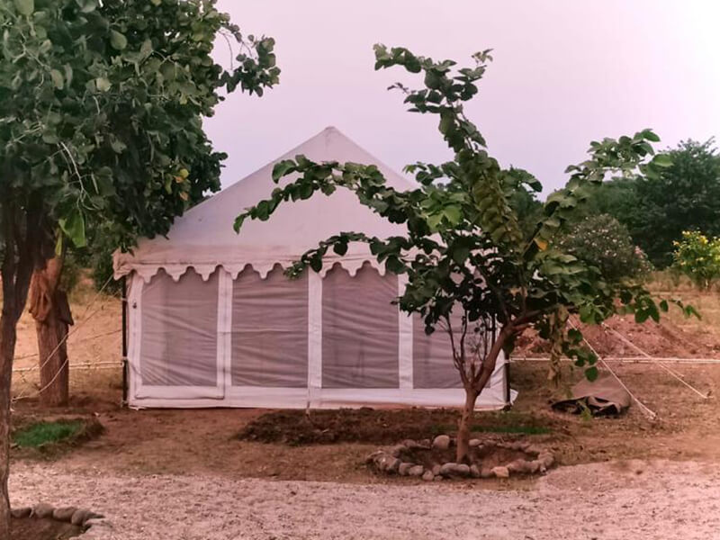 Jawai Nature Stay