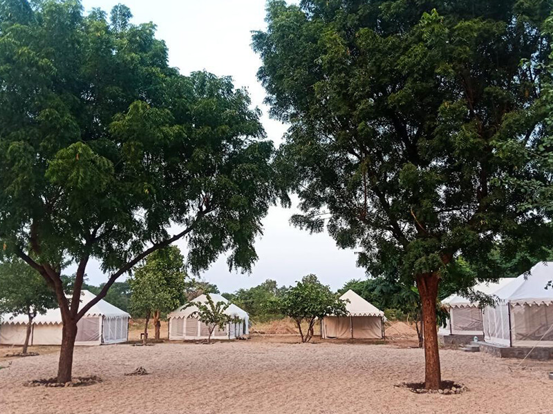 Jawai Nature Stay