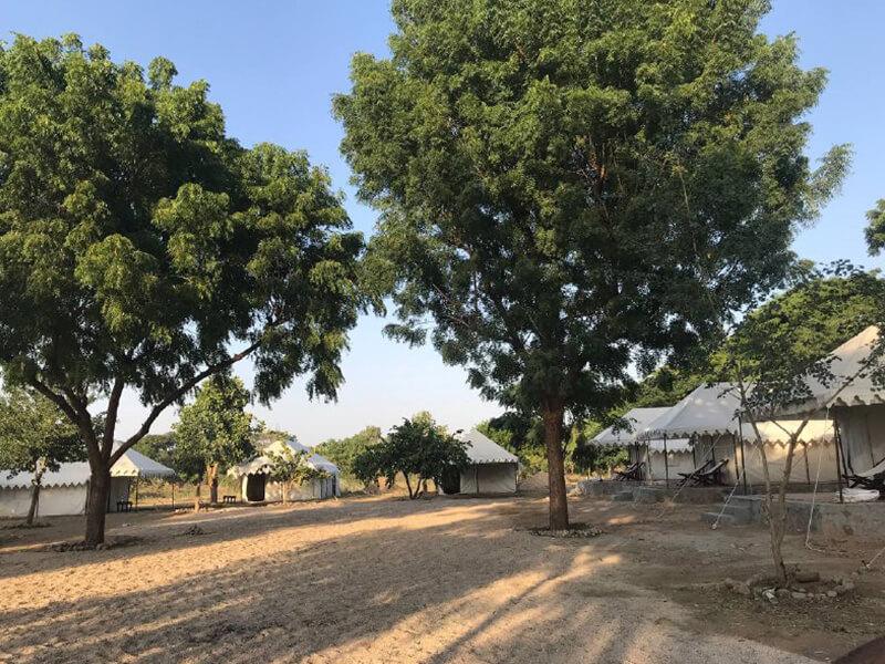 Jawai Nature Stay