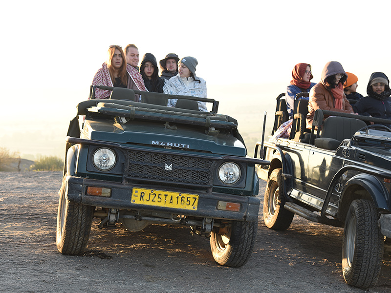 Jawai Safari