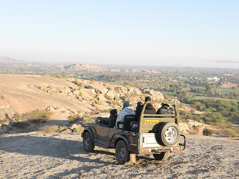 Jawai Safari